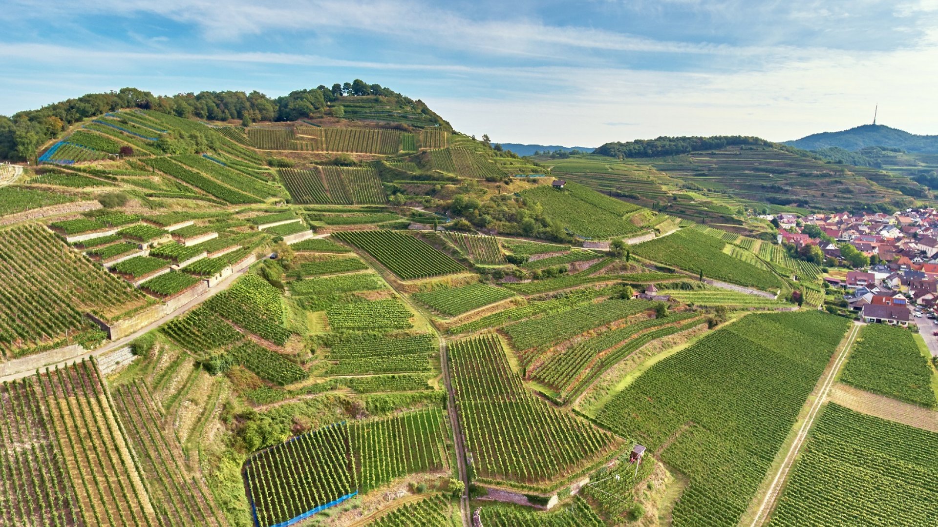 Impression aus unserer Lage "SCHLOSSBERG".