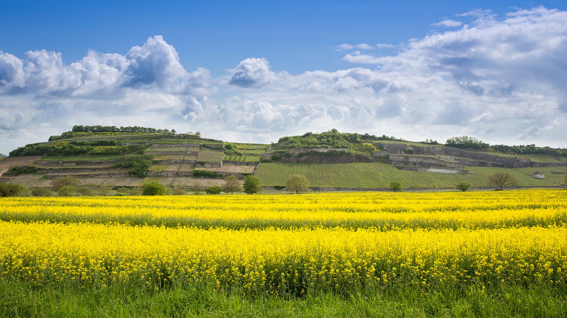 Impression aus unserer Lage "Winklerberg".