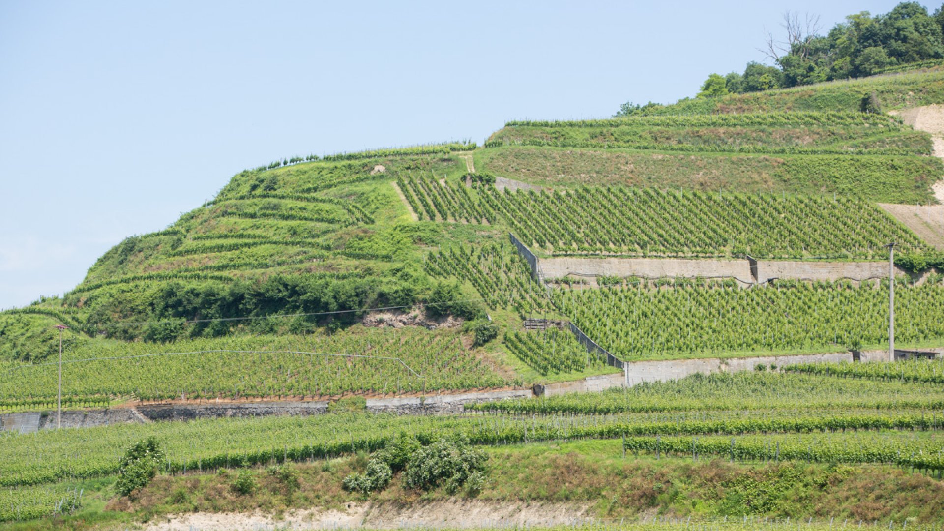 Impressions of our terroir "WINKLERBERG WINKLEN "Rappenecker"".