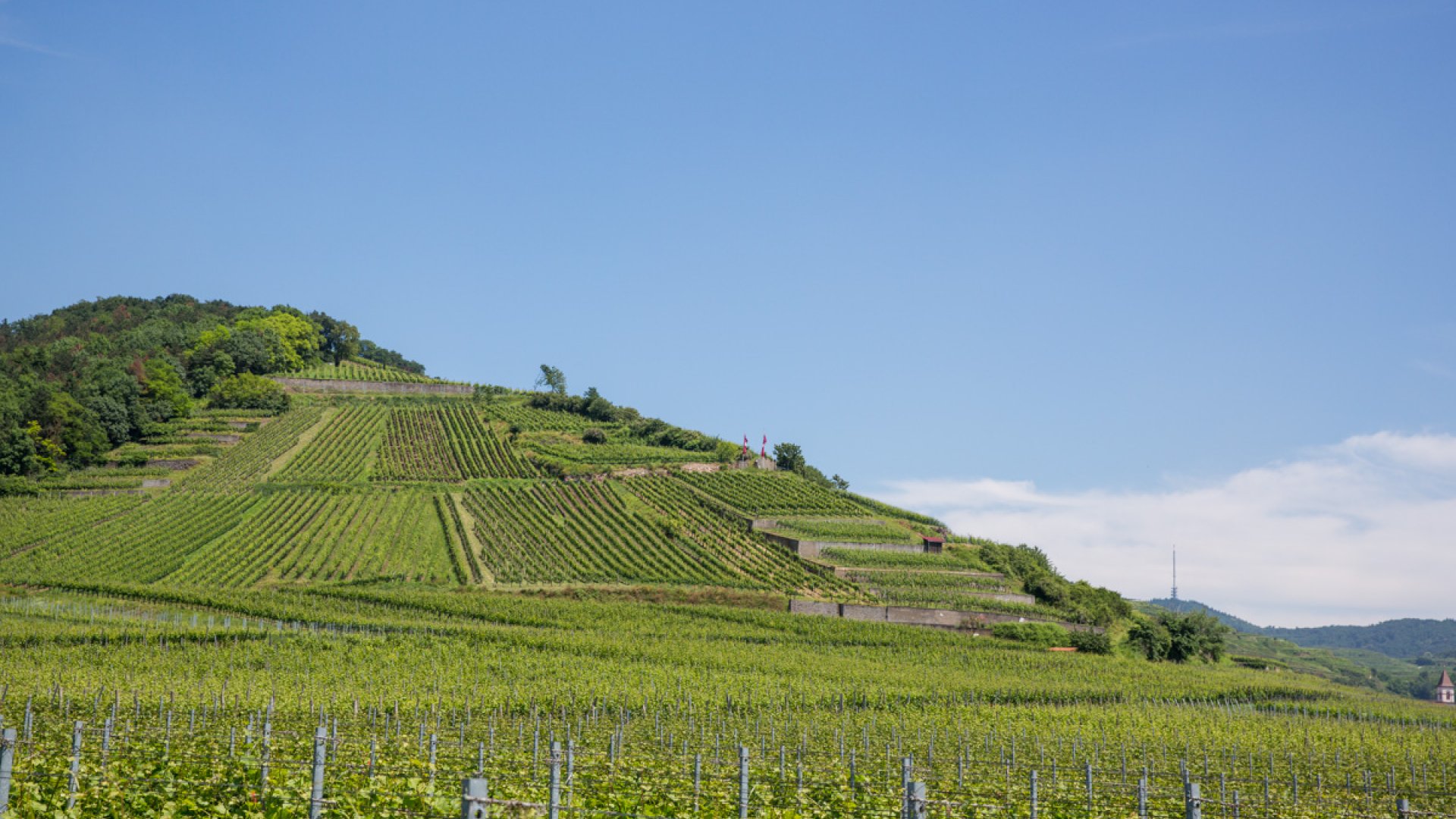 Impressions of our terroir "SCHLOSSBERG".